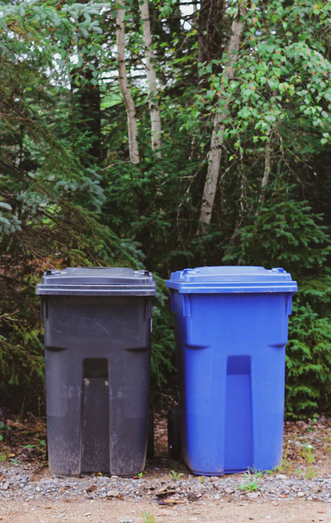 A blue and black trash cans in the woods Description automatically generated