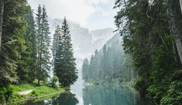 A body of water with trees and mountains in the background Description automatically generated