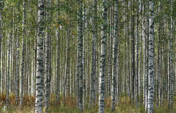 Luonnonsuojelulain muutokset